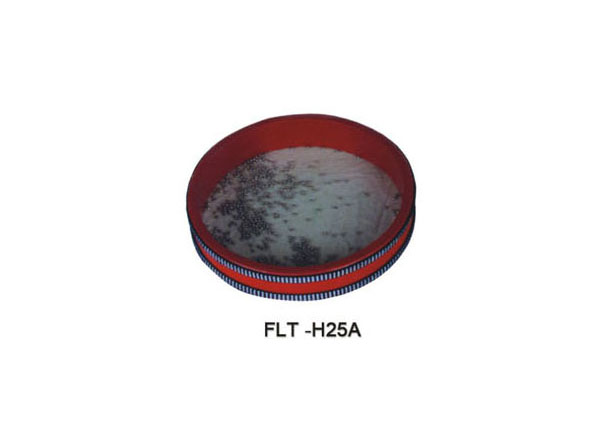   FLT-H25A
