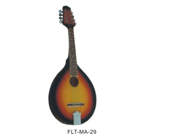 FLT-MA-29