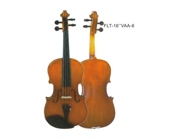 Student model viola   FLT-16