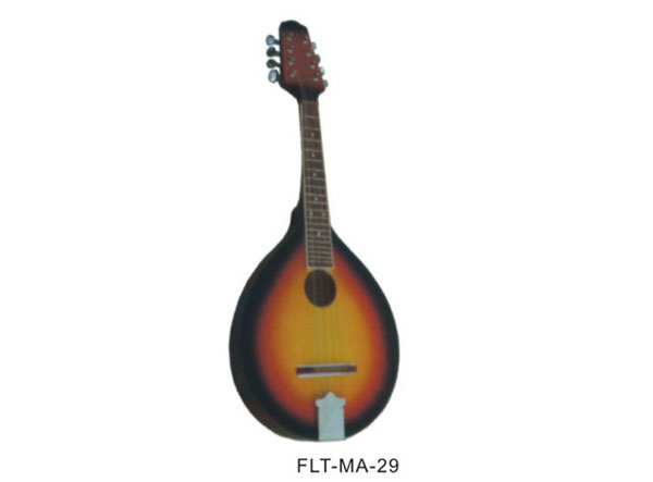 FLT-MA-29