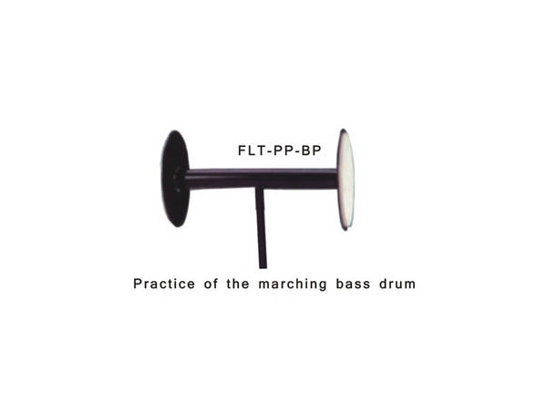 FLT-PP-BP---ϰ