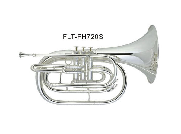 нԪ  FLT-FH720S