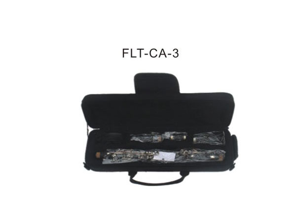 ڹܺ  FLT-CA-3