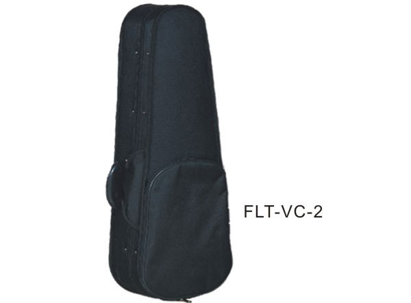 Сٺ  FLT-VC-2