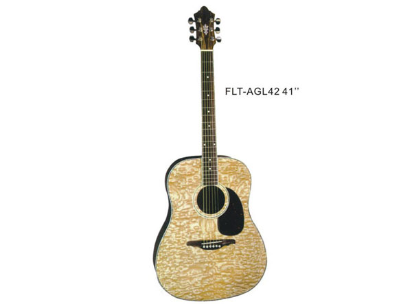 ҥ  FLT-AGL42 41
