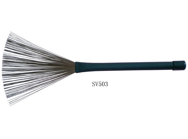 ˢ  SV503