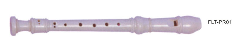 Recorder  FLT-PR01