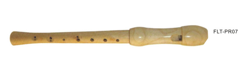 Recorder  FLT-PR07